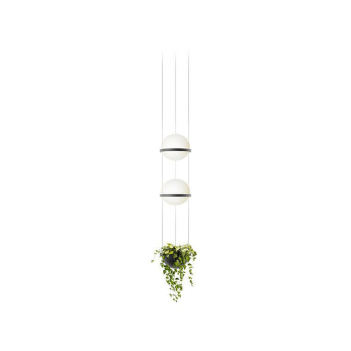Vibia Palma Suspension Light