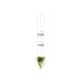 Vibia Palma Suspension Light