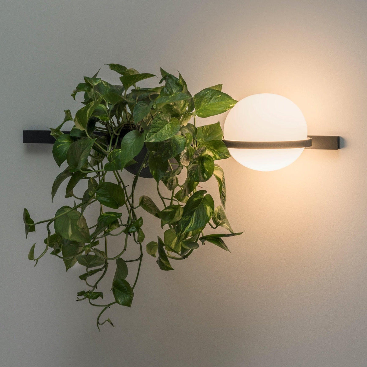 Vibia Hall Light Vibia Palma Wall Light (3702)