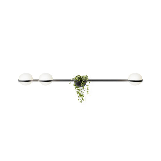 Vibia Palma Wall Light (3706)