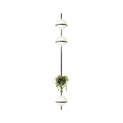 Vibia Palma Wall Light (3718)