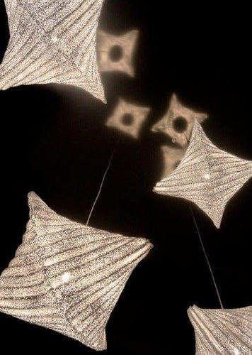 a-emotional light Lea LED Pendant Light