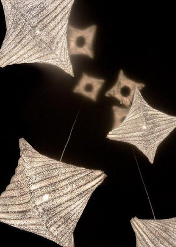 a-emotional light Lea Pendant Light