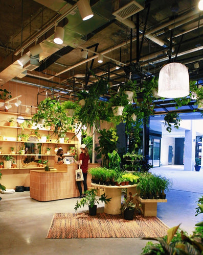 a-emotional light Onn Medium Pendant Light