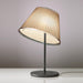 Artemide Choose Table Lamp