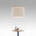 Artemide Ripple Suspension Light