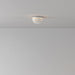 Artemide Slicing Outdoor Wall / Ceiling Light