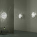 AxoLight Aura Wall Light