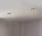 AxoLight Hoops Ceiling Light