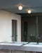 CTO Lighting Mezzo Ceiling / Wall Light