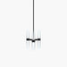 Empty State Branch S78 - 01 Pendant Light