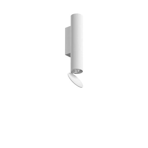 Flos Flauta Riga Outdoor Wall Light