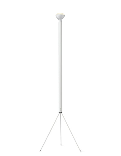 Flos Luminator Floor Lamp