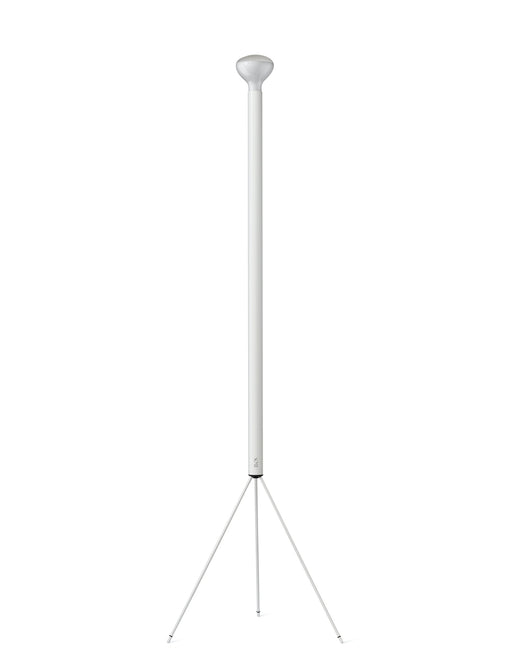 Flos Luminator Floor Lamp