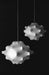 Flos Taraxacum Suspension Light