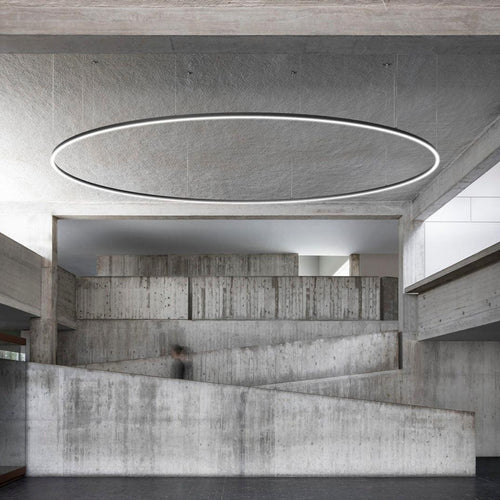 ILTI Luce Zirkol Circle Suspension Down Light
