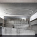 ILTI Luce Zirkol Circle Suspension Down Light