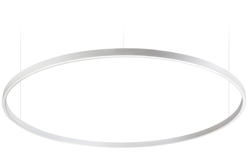 ILTI Luce Zirkol Circle Suspension Down Light