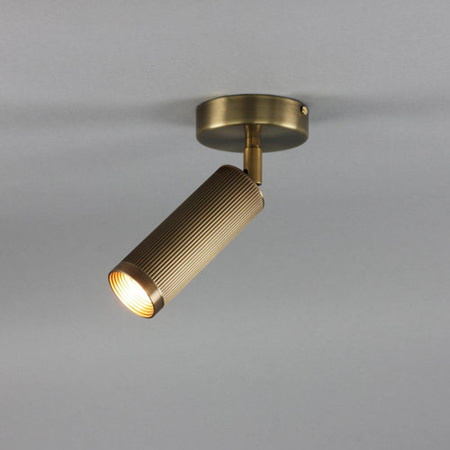 J. Adams & Co Spot Ceiling Light