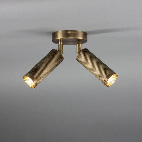 J. Adams & Co Spot Ceiling Light