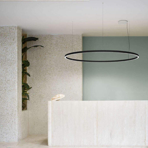 Luceplan Compendium Circle Suspension Light