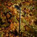 Luceplan Flia Outdoor Floor Lamp