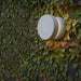 Luceplan Nui Outdoor Wall Light