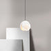 Marc Wood Shell Pendant Light