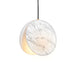 Marc Wood Shell Pendant Light