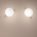 Masiero Posy Wall Light