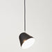 Nyta Tilt S Pendant Light