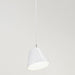 Nyta Tilt S Pendant Light