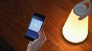Pablo Designs UMA Portable Table Lamp
