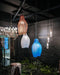 Preciosa Muutos Pendant Light Large