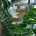 Tom Dixon Spring Pendant Light Brass
