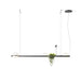 Vibia Palma Horizontal Suspension Light