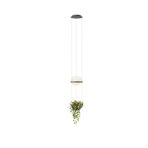 Vibia Palma Suspension Light