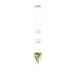 Vibia Palma Suspension Light