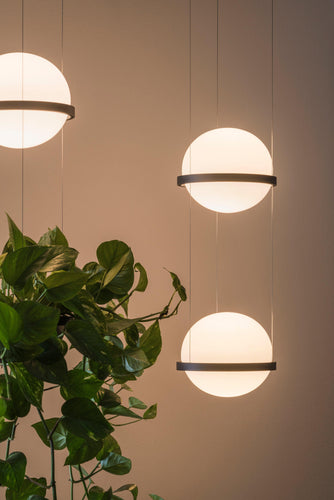 Vibia Palma Suspension Light