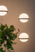 Vibia Palma Suspension Light