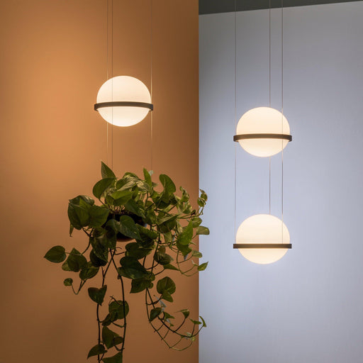 Vibia Palma Suspension Light