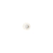 Vibia Top Wall Light