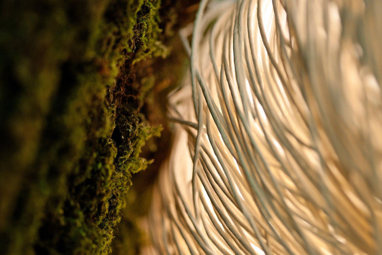 a-emotional light Arc Floor Lamp