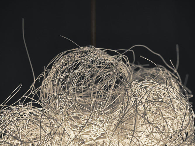 a-emotional light Blum Pendant Light